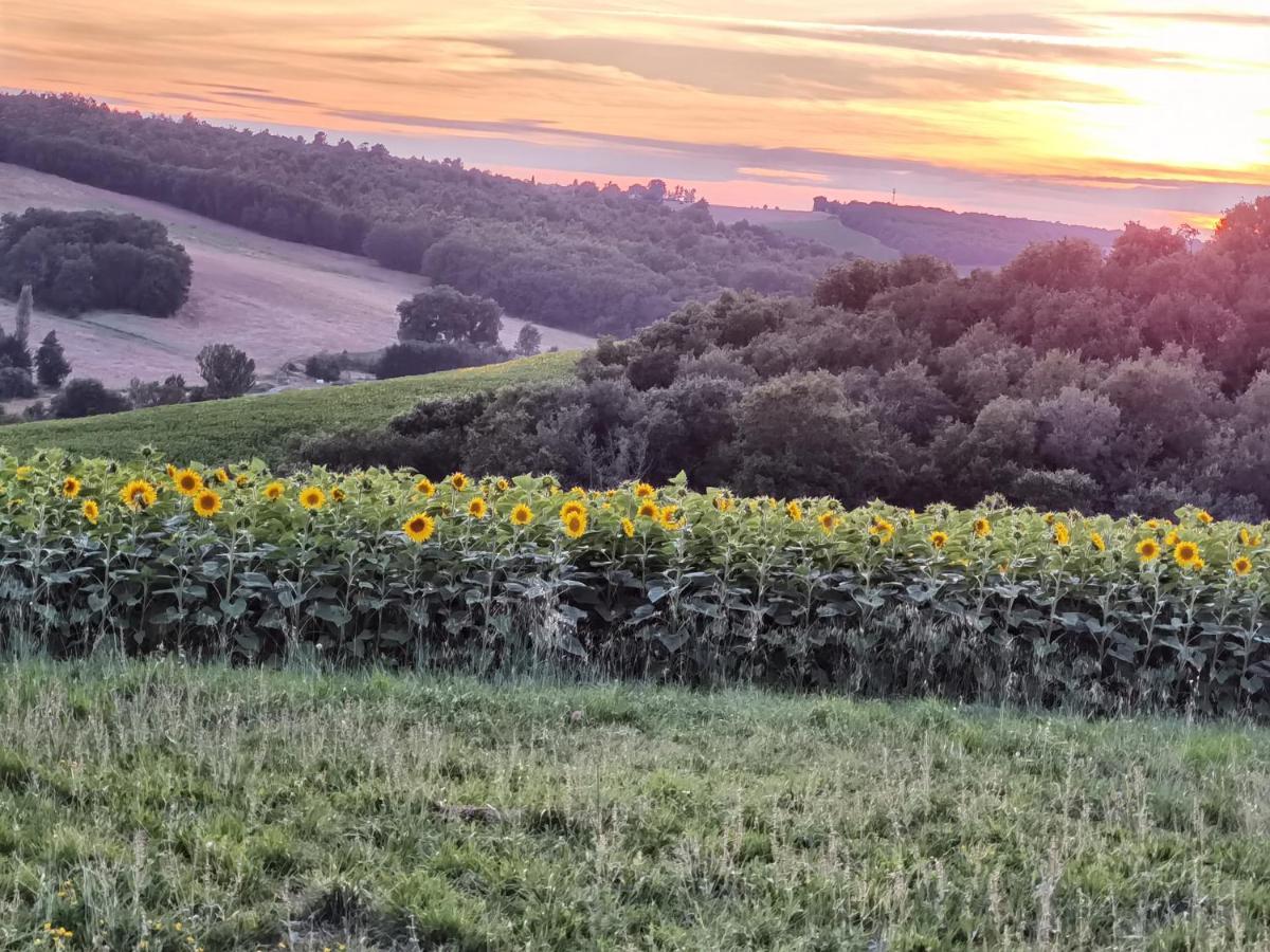 Les Hauts De Grazac, Chambres Et Tables D'Hotes Grazac  Esterno foto