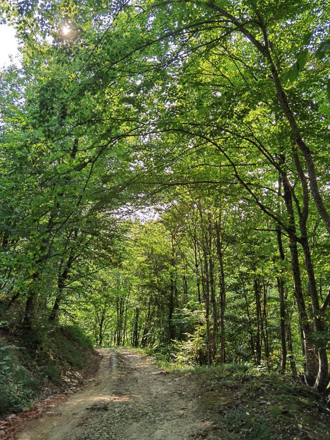 Les Hauts De Grazac, Chambres Et Tables D'Hotes Grazac  Esterno foto